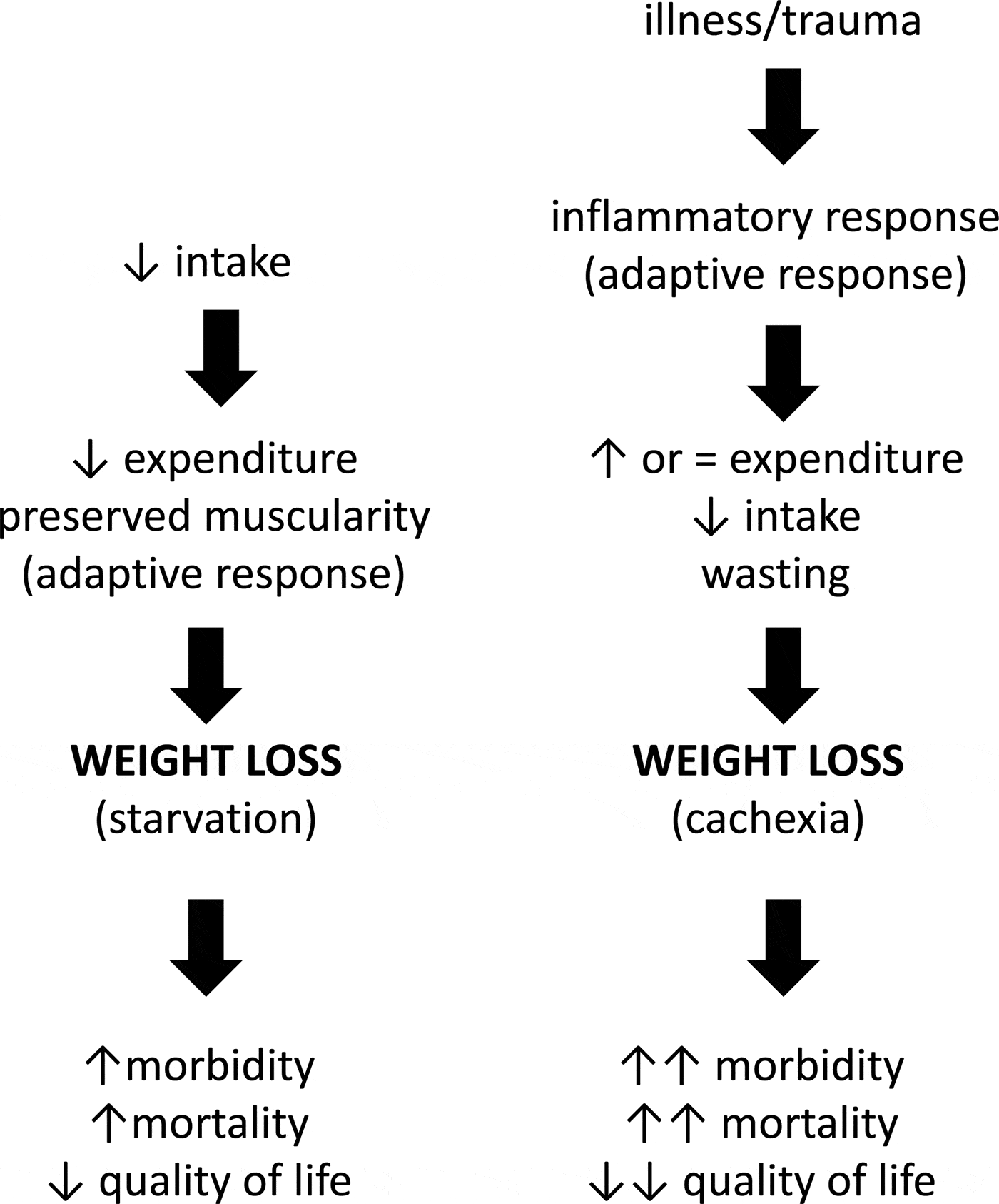 Cachexia clinical features when inflammation drives malnutrition