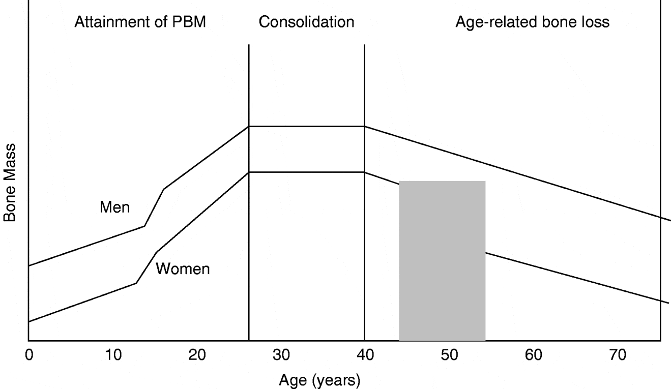 Importance of calcium, vitamin D and vitamin K for osteoporosis