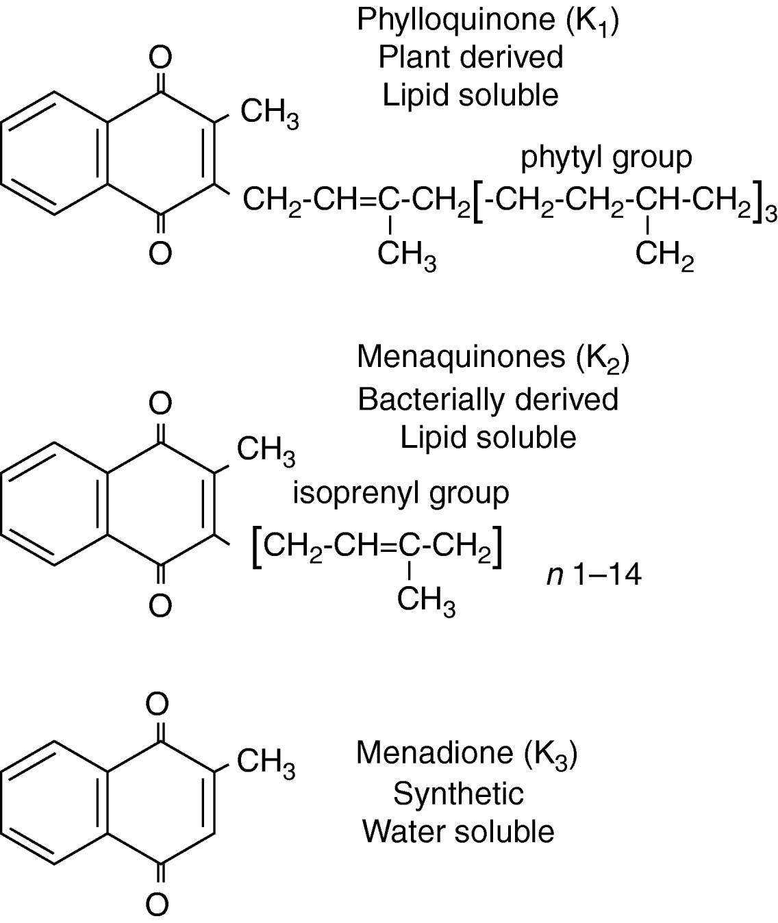 Importance of calcium, vitamin D and vitamin K for osteoporosis