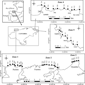 A First Approach To Stock Assessment Of The Sea Urchin Paracentrotus Lividus Lamarck 1816 In Cantabria Bay Of Biscay Journal Of The Marine Biological Association Of The United Kingdom Cambridge Core