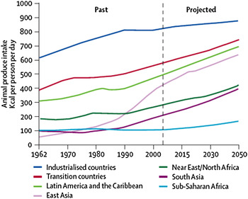 Socioeconomic and demographic drivers of red and processed meat ...