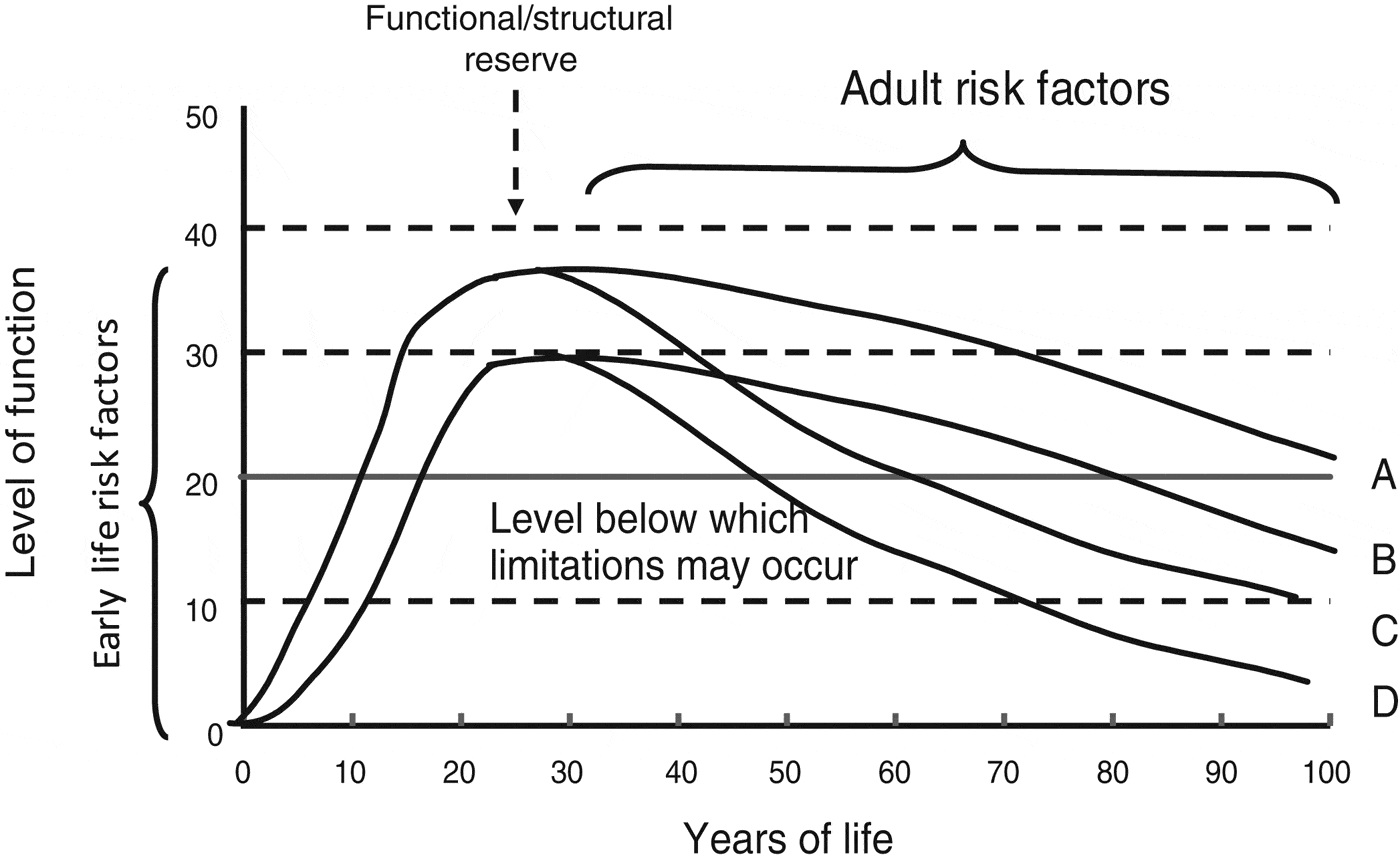 A life-course approach to healthy ageing: maintaining physical ...