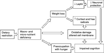 Weight loss and Alzheimer's disease: temporal and aetiologic ...