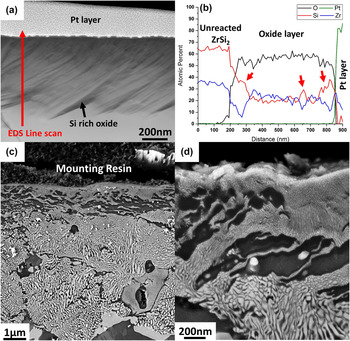 Evolution of multilayered scale structures during high temperature ...