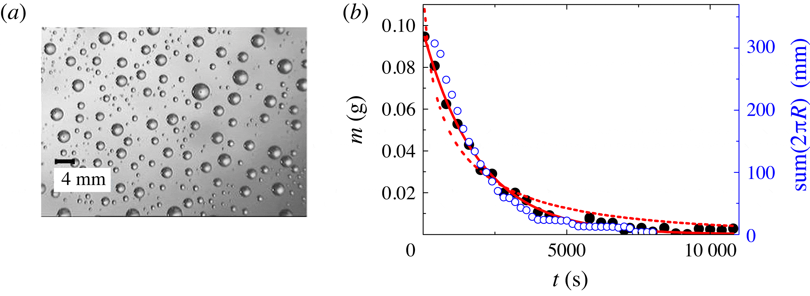 Evaporation of water: evaporation rate and collective effects | Journal ...