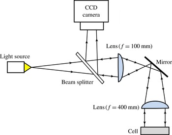 Conjugated liquid layers driven by the short-wavelength Bénard ...