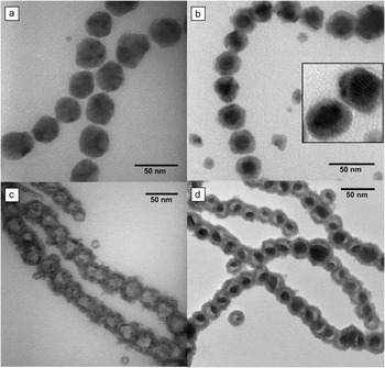 Magnetic field-directed self-assembly of magnetic nanoparticles | MRS ...