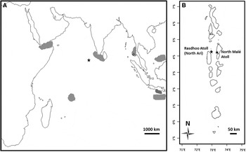 First record of Satyrichthys laticeps and second record of Satyrichthys ...