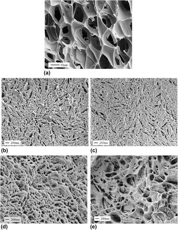 スクイーズ Investigation of poly(l-lactic acid)/graphene oxide composites
