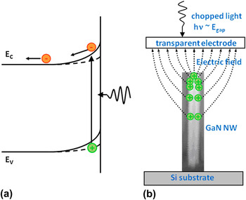 surface induced effects in gan nanowires clipart