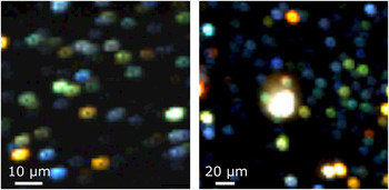 surface induced effects in gan nanowires clipart