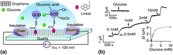 Graphene-based Electronic Biosensors | Journal Of Materials Research ...