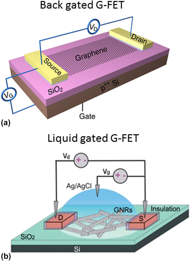 Graphene Based Biosensors For Healthcare | Journal Of Materials ...