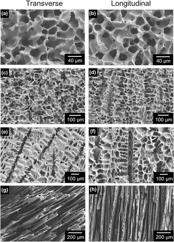 Suspension- and solution-based freeze casting for porous ceramics ...