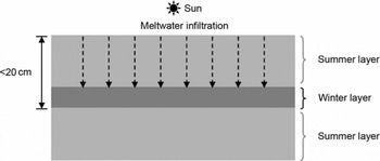 CO2 diffusion in polar ice: observations from naturally formed CO2 ...