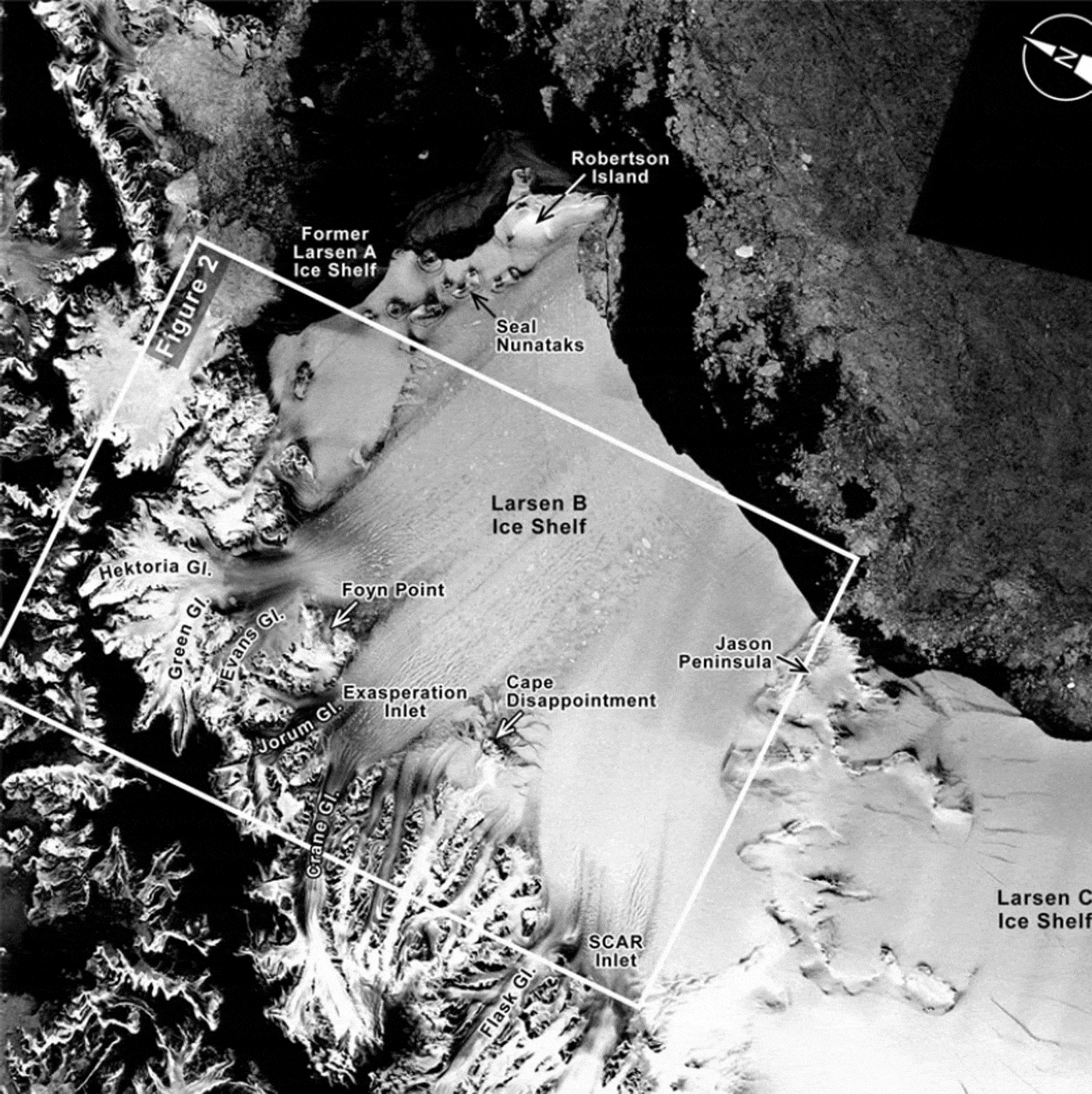 A structural glaciological analysis of the 2002 Larsen B iceshelf