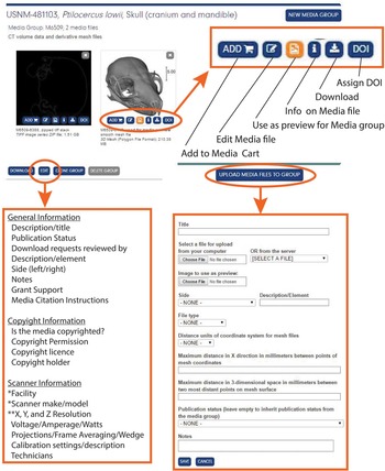 Endangered (with New Species Expansion) Organizer by Aaron, Download free  STL model