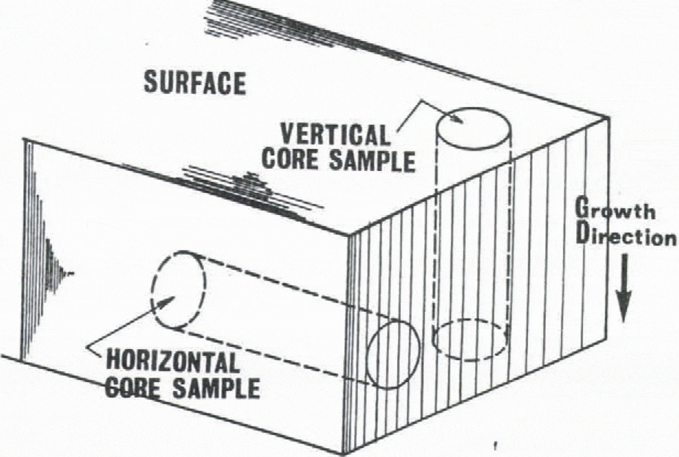 Experimental Study on Direct Shear Strength of Sea Ice | Annals of ...