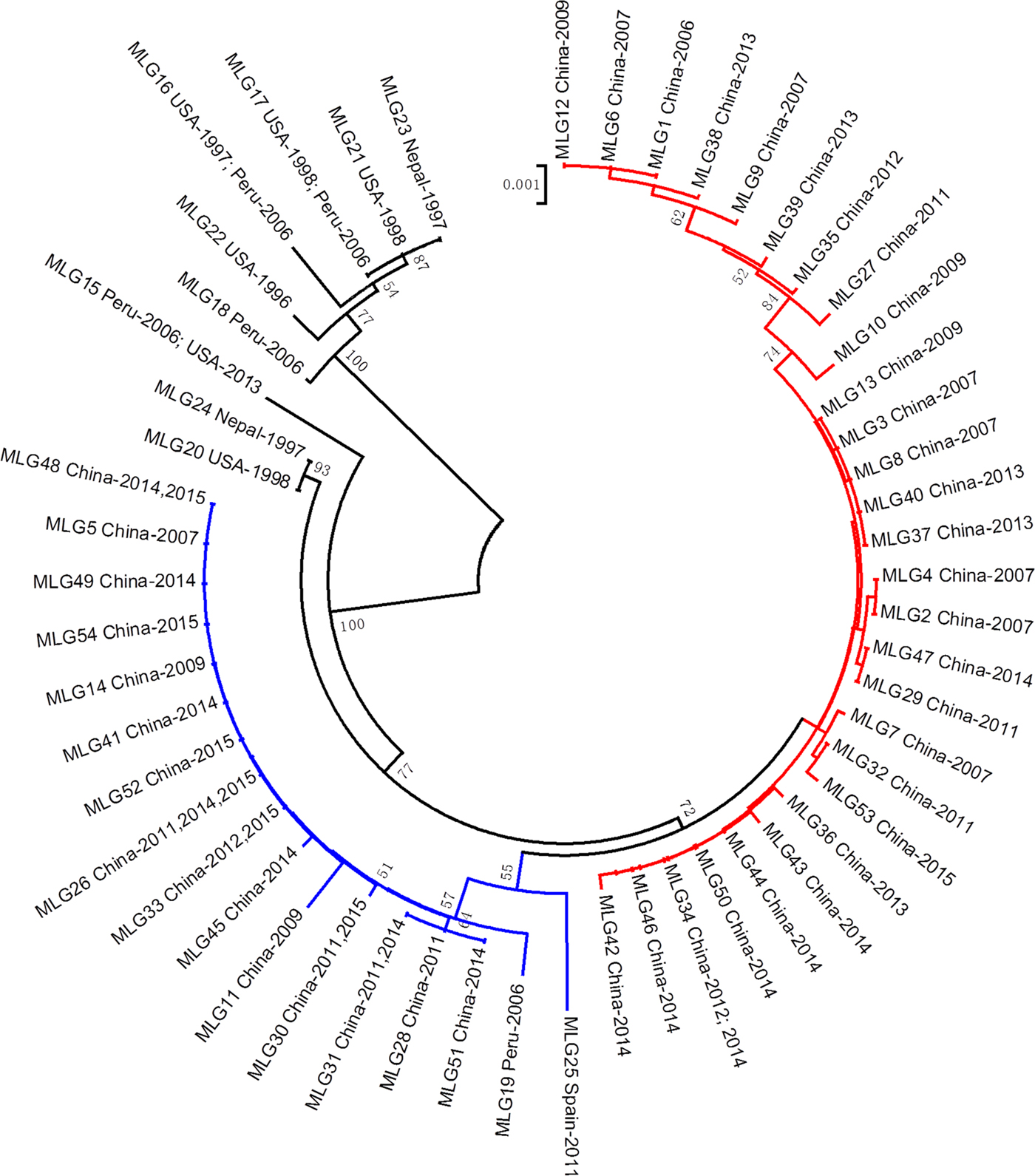 Figure 1 From Multilocus Sequence Typing Tool For Cyclospora