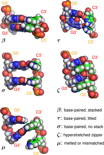 Dna Partitions Into Triplets Under Tension In The Presence Of Organic