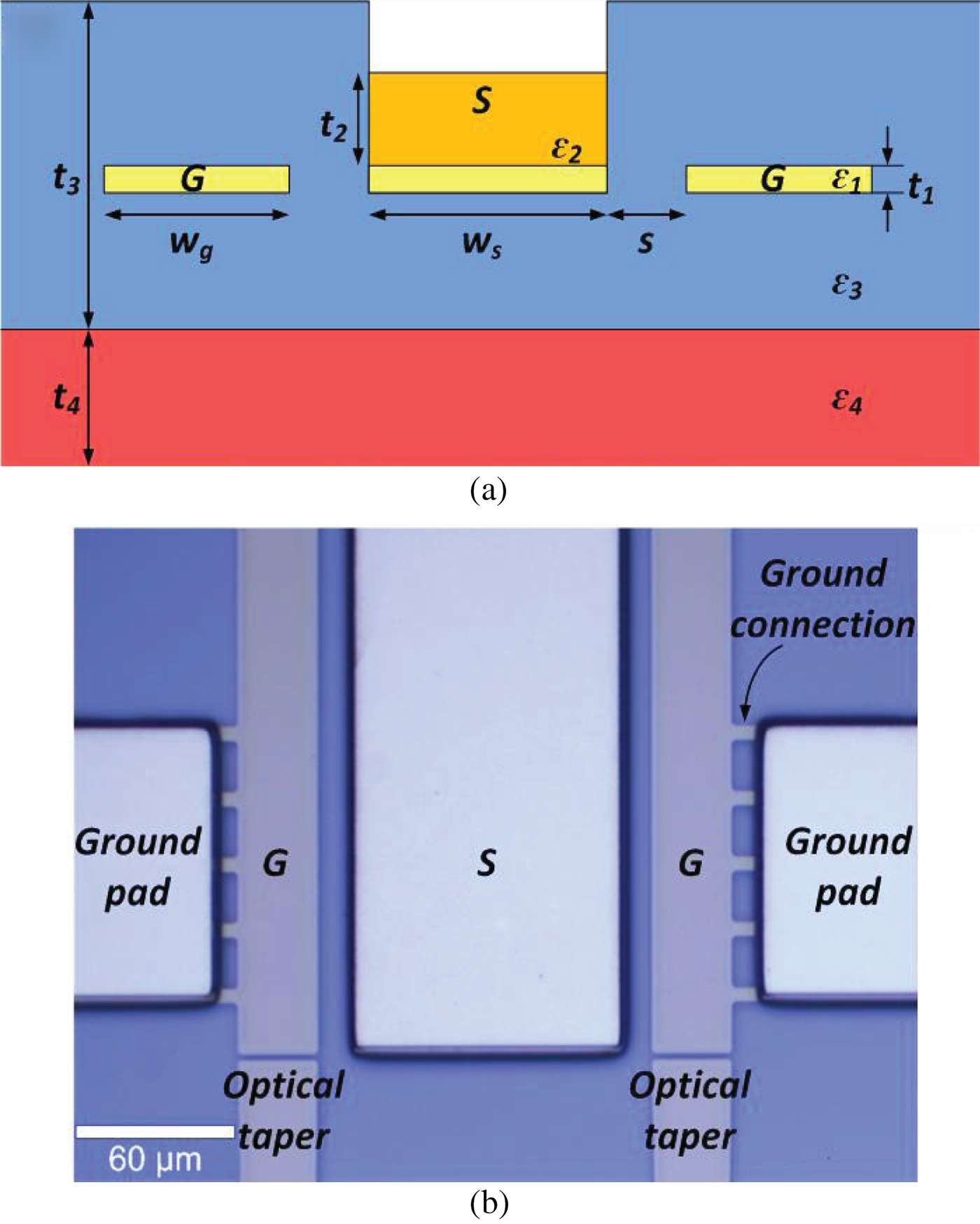 Electrical performance analysis of a CPW capable of transmitting ...