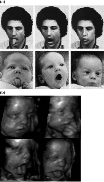 Neonatal imitation in context Sensorimotor development in the