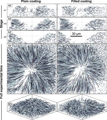 Three-dimensional microscale flow of polymer coatings on glass