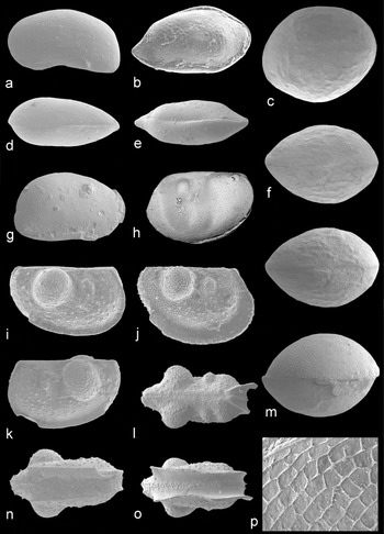 Silurian Wenlock LS Wrens Nest ostracod brachiopod microfossil sample Lundin med