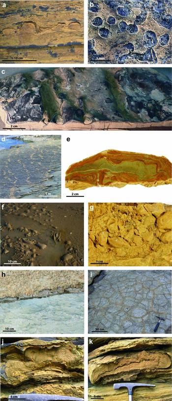 Stromatolite-like deposits. Microfabric details of the