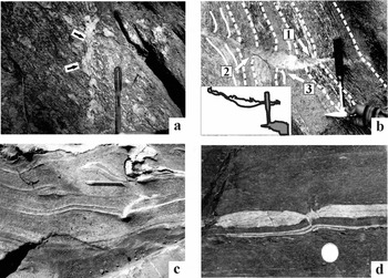 Review of flanking structures in meso- and micro-scales, Geological  Magazine