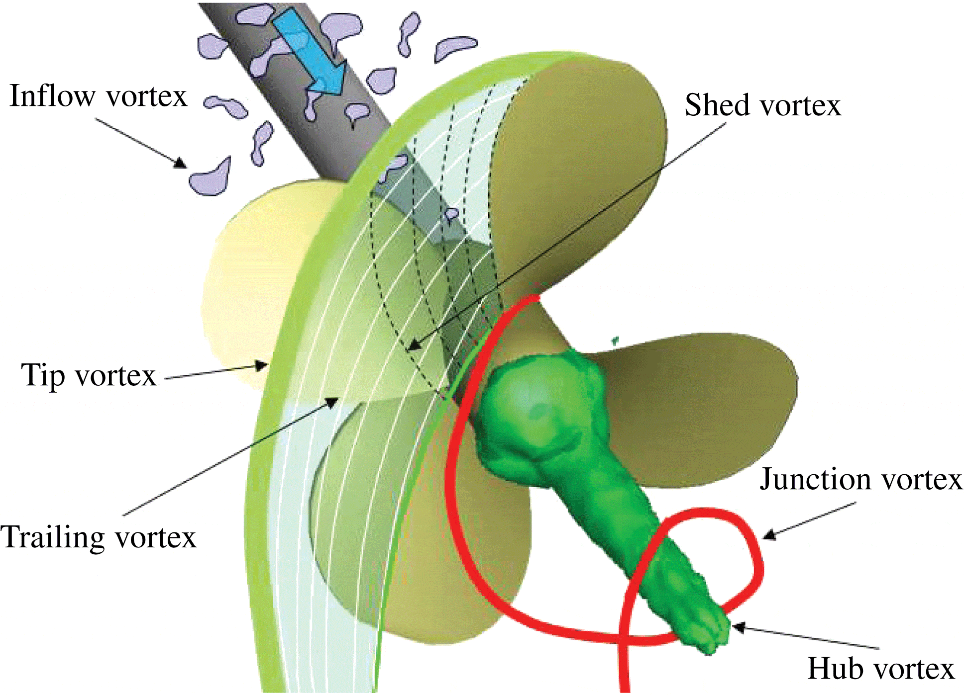 Propeller wake evolution mechanisms in oblique flow conditions