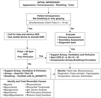 Resuscitation (Chapter 1) - Clinical Manual of Emergency Pediatrics