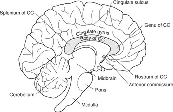 https://static.cambridge.org/binary/version/id/urn:cambridge.org:id:binary-alt:20180929011253-16915-mediumThumb-64693fig13_2.jpg?pub-status=live