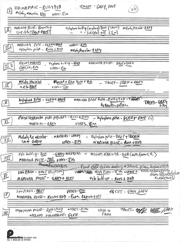 Music for 18 Musicians (Chapter 15) - Performance Practice in the