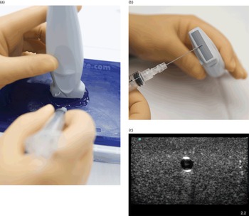 https://static.cambridge.org/binary/version/id/urn:cambridge.org:id:binary-alt:20180930122849-55778-mediumThumb-06234figS3_10.jpg?pub-status=live