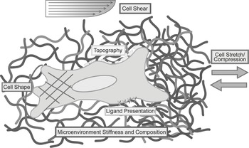 Neuronal Cells Confinement by Micropatterned Cluster-Assembled Dots with  Mechanotransductive Nanotopography