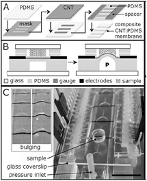 Micro Nano Techniques In Cell Mechanobiology Part I - 