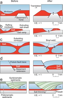 Salt Welds Chapter 9 Salt Tectonics