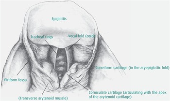 Anatomy and Its Applications Chapter 2 The Anaesthesia Science