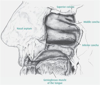 Anatomy and Its Applications Chapter 2 The Anaesthesia Science