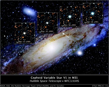 Andromeda Galaxy Swallowed Many Dwarf Galaxies During Its Lifetime