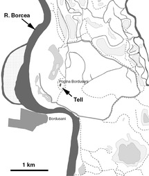 Pdf The Demise Of Strategic Planning The Impact Of The Abolition