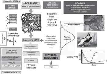 Surgical Stress Response