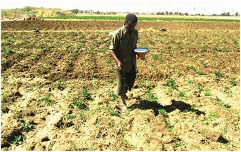 Soil Fertility Part III Properties and Management of Soils in