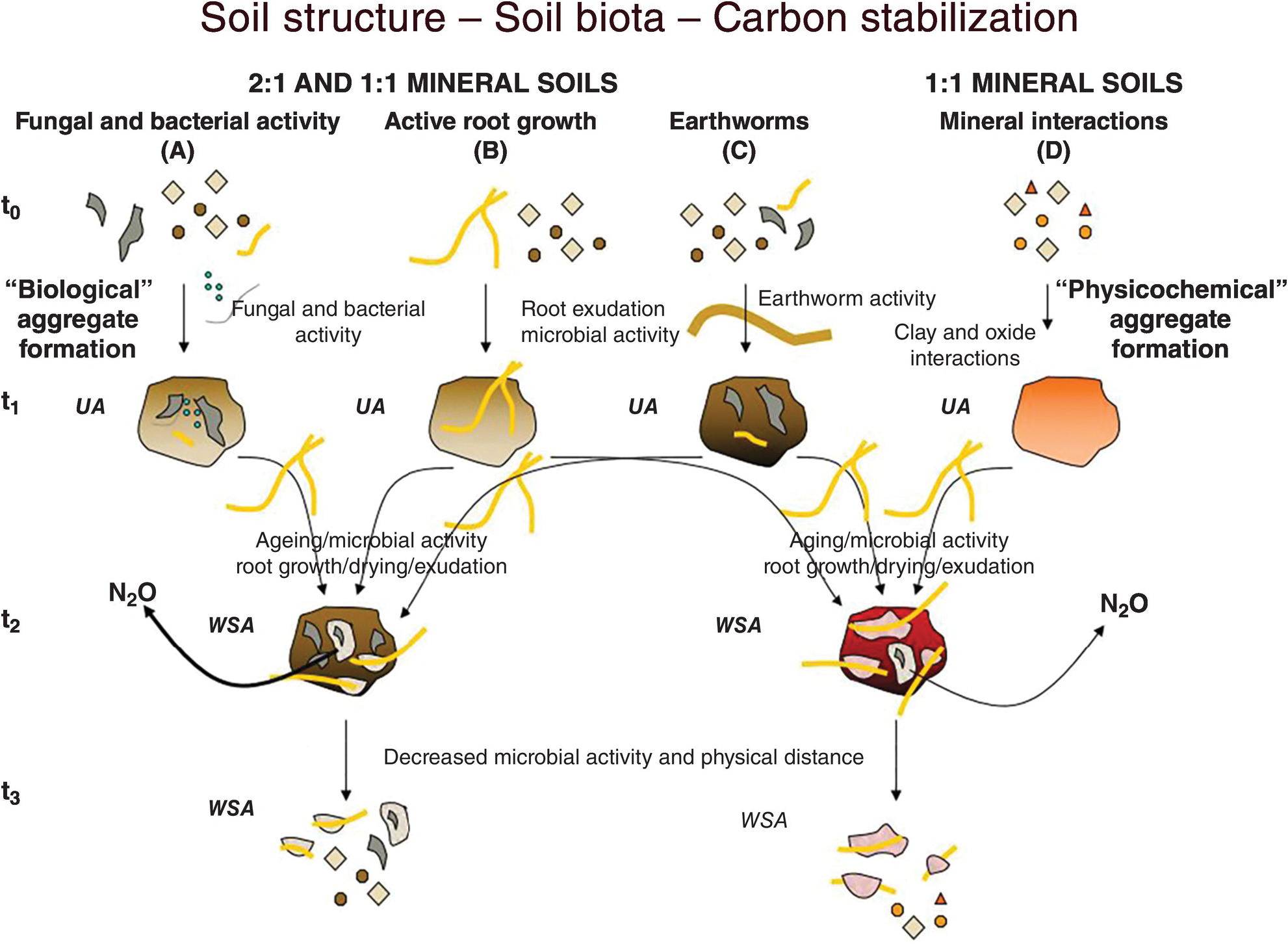 Soil Physical Properties (Chapter 6) - Properties And Management Of ...