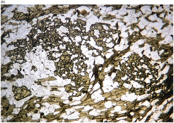 Microstructures of Metamorphic Rocks (Chapter 4) - A Practical