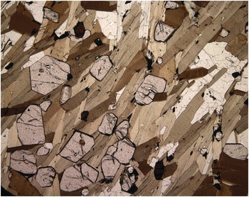 Microstructures of Metamorphic Rocks (Chapter 4) - A Practical