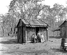 Australian Uncle Tom S Cabins Chapter 3 Imperial Emotions