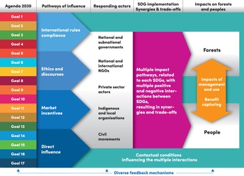 Synergies, Trade-Offs And Contextual Conditions Shaping Impacts Of The ...