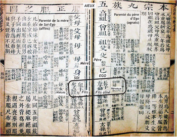 Historians At The Court How Cultural Expertise In Qing Law Contributes To The Invention Of Hong Kong Chinese Customary Law Law And History Review Cambridge Core